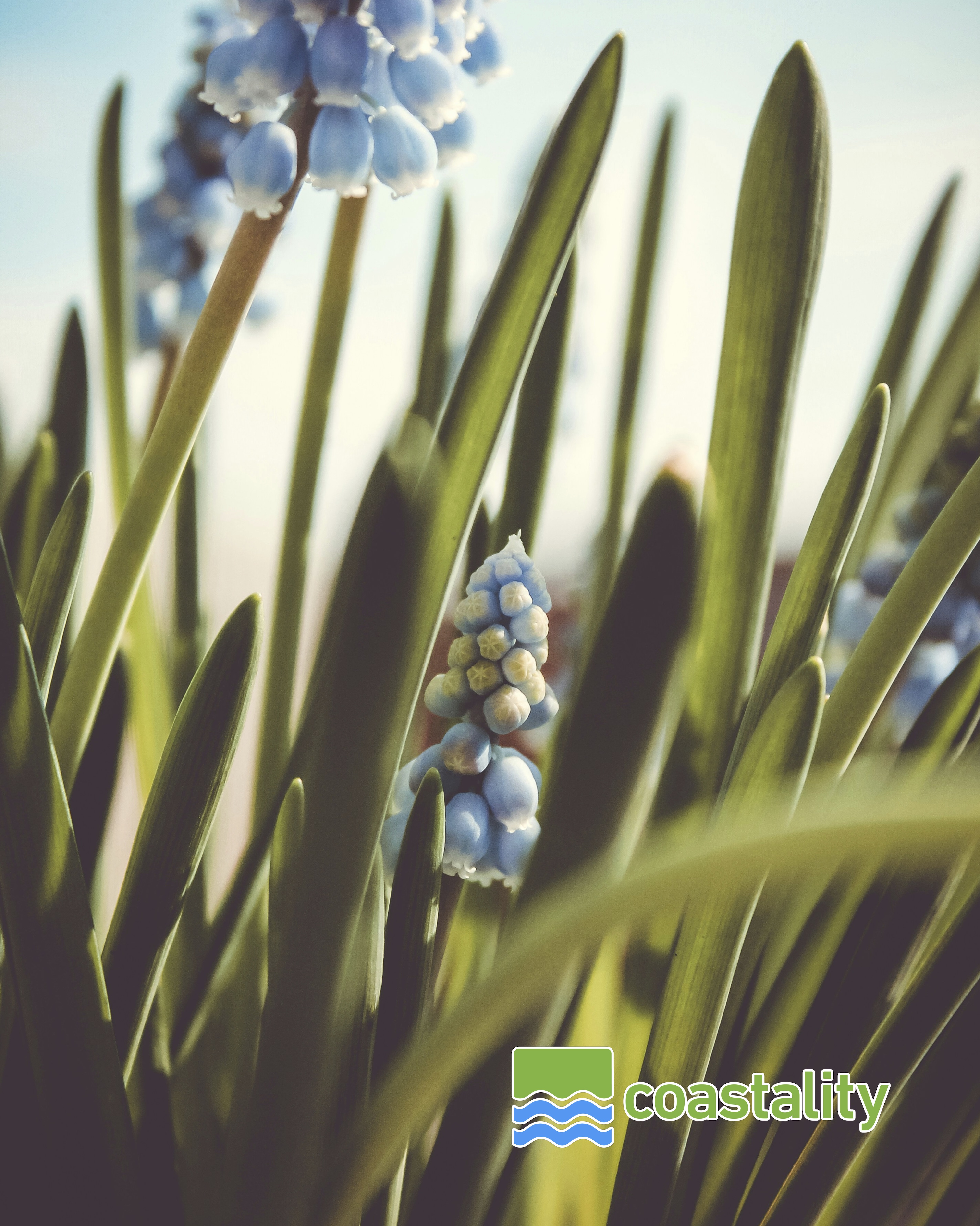 Instagram Post - MAY RESOURCE ARTICLE mental wellness holiday survival